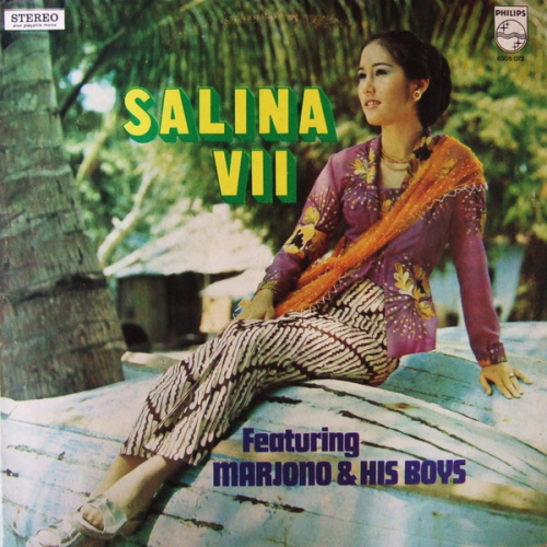 Salina VII - Es Lilin