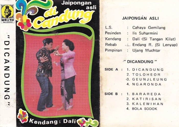 Dicandung