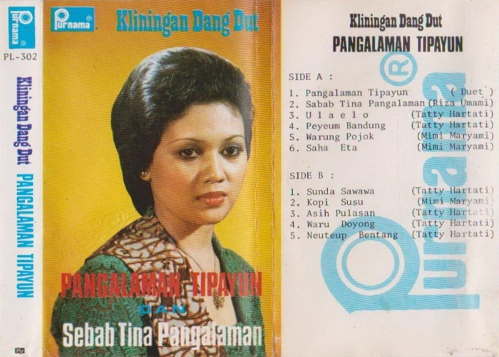 Pangalaman Tipayun
