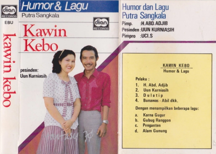 Kawin Kebo